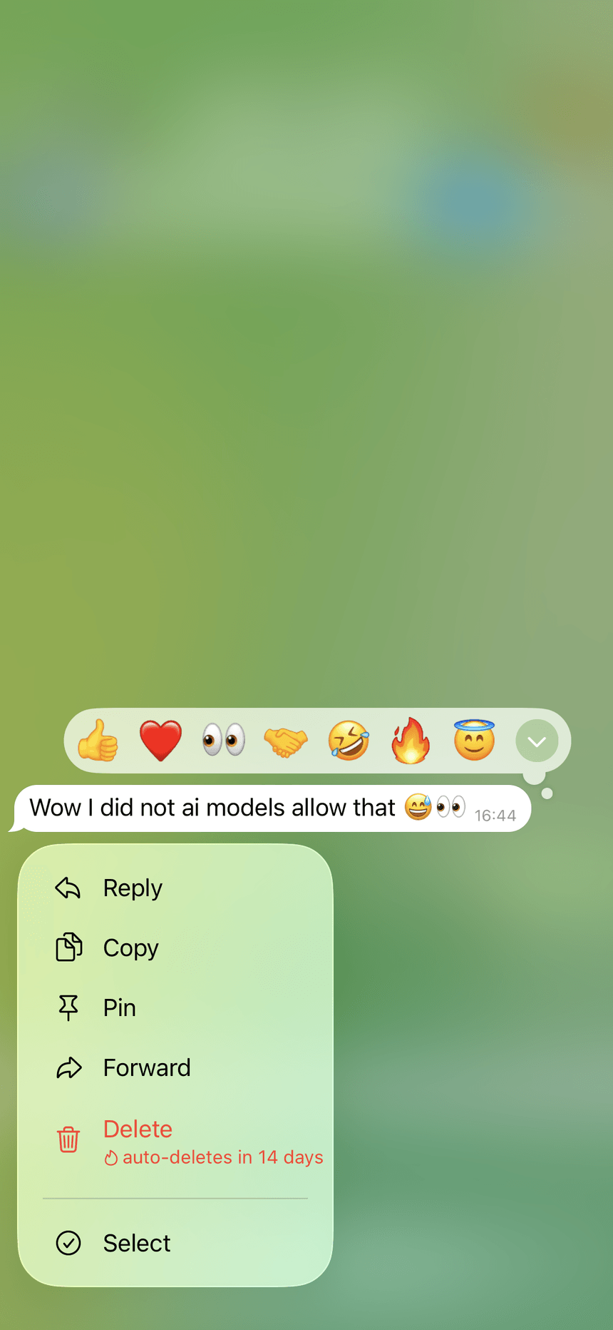 Buyer Telegram message: AI models allowed the prompt